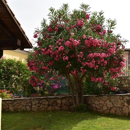 Splendida Villetta Tavolara 1 Vaccileddi Dış mekan fotoğraf