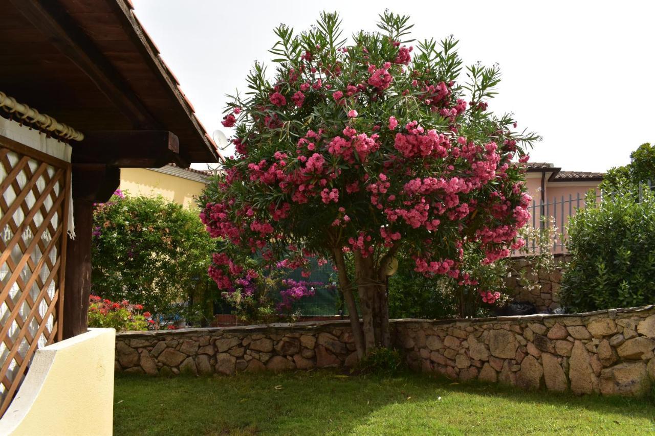 Splendida Villetta Tavolara 1 Vaccileddi Dış mekan fotoğraf
