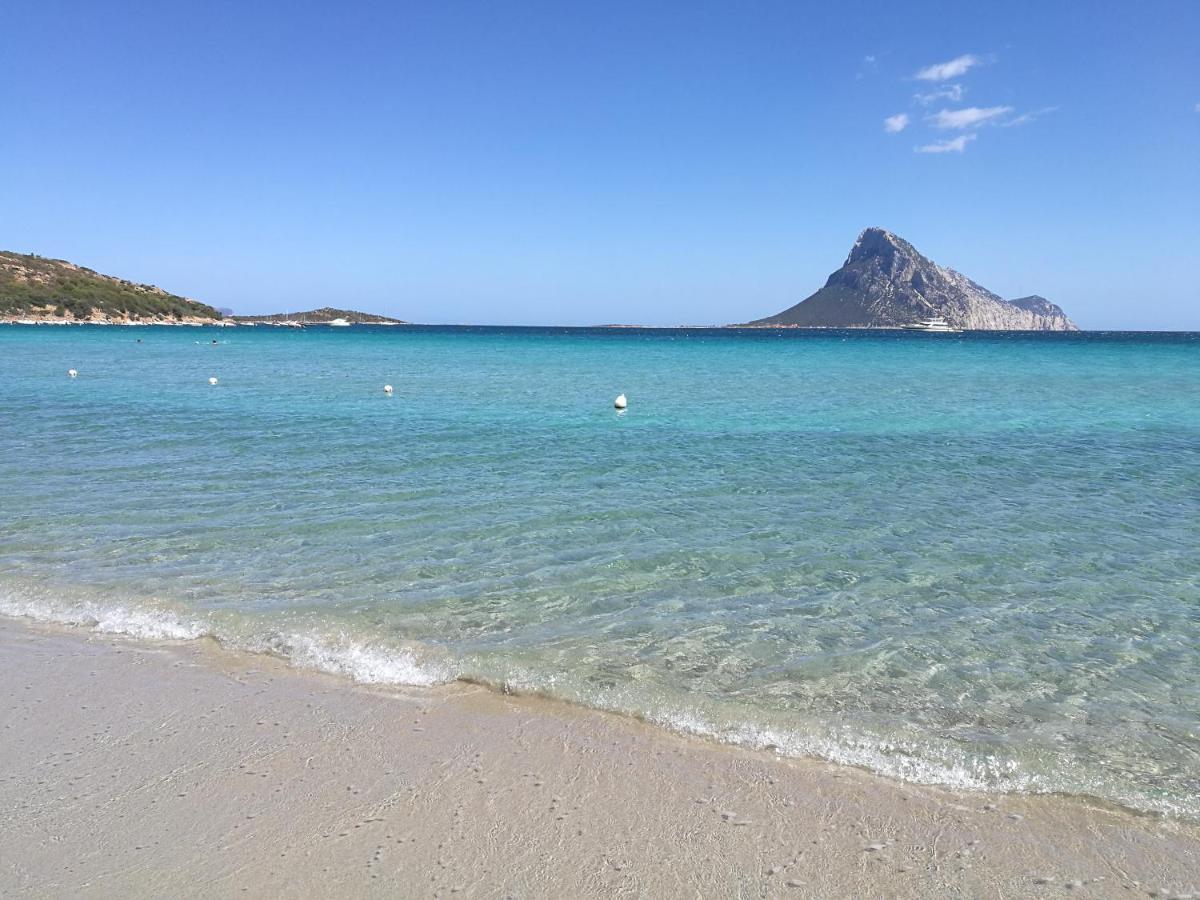 Splendida Villetta Tavolara 1 Vaccileddi Dış mekan fotoğraf